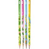 Faber-Castell Kaktüs Desenli 2b Kurşun Kalem 4 Adet 16878