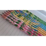 Faber-Castell Kaktüs Kurşun Kalem Yeni Sezon Serisi 2b 12 Adet