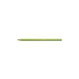 Faber Castell Polychromos Kuru Boya Kalemi App. Green / 170