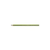 Faber Castell Polychromos Kuru Boya Kalemi Mos.green / 168
