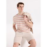 Fabrika Kahverengi Erkek Relaxed Çizgili T-Shirt F6SM-TST 2100 - Kiremit
