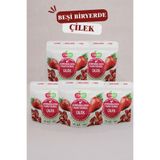 Fair Dry Beşibiryerde Çilek, Freeze Dried, Dondurularak Kurutulmuş, Meyve Kurusu