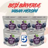 Fair Dry Beşibiryerde Yaban Mersini, Freeze Dried, Dondurularak Kurutulmuş, Meyve Kurusu - 100 gr