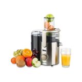 Fakir Juice Max Katı Meyve Sıkacağı inox