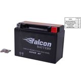 Falcon Akü 12-V 6.5 Ahr (12n6.5l-Bs) Kuru Akü (Cg) Orijinal