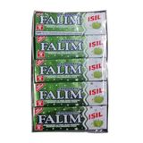 Falım 5'li 20 Adet Işıl Aromalı Sakız