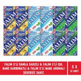 Falım 5'li Damla Sakızı & Işıl Nane Karbonatlı & Naneli Şekersiz Sakız - 12 Adet - 1 Adet