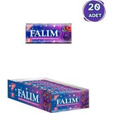 Falım Orman Meyveleri Aromalı Sakız 7 Gr - 20 Adet