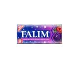 Falım Orman Meyveleri Sakız 5'li 1 Adet