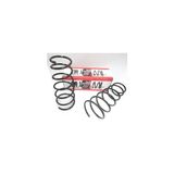 Fam Fiat Doblo 01/05 Ön Helezon Yayı Sağ/sol (2li SET)(13,25X144X190) (Stdr)