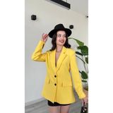 Famecoy Kadın oversize blazet ceket iki düğmeli astarlı klasik şık ceket ckt00350