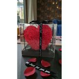 Famemus Accessory Sevgililer Gününe Özel Asetat Kutu İçinde Kalpli Gül Boyut:15cm