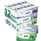 Familia Lavanta-Mineral-Yeşilin Tazeliği 90 Yaprak Karma 12 Li Set 1080 Yaprak Islak Havlu Mendil