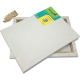 Fanart Academy Tuval, 280GR, 25X35CM - Çok Renkli