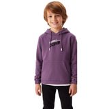 FancyKids Erkek Çocuk Sweat Shirt Kapüşonlu Kanguru Cepli Mor (Mor, 13 Yaş)