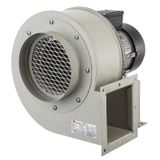 Fanex Psek 260 T Seyrek Kanatlı Salyangoz Fan