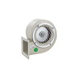Fanex Tos 140-60 Metal Gövdeli Salyangoz Fan
