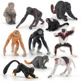 Fantarea Vahşi Yaşam Orman Hayvan Modeli Playsets 10 ADET Mini Maymun Figürler Proboscis Maymunlar Japon Makaklar Marmosets Gibbons Lemurs Action Figure Oyuncak Çocuk Çocuklar için Dekor Hediye