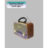 Fantastik Store Ahşap Nostaljik Radyo Bluetooth USB Sd Kart Destekli - Lisinya