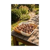 Fantastik Store Kare Çift Renkli Plastik Rattan Sepet, Çok Amaçlı Banyo ve Mutfak Düzenleyici, Yıkanabilir Organizer, 23.5X23.5X7.5 cm - Kestane Akaju - Option-1