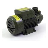Fantastik Store Style QB60 0.5 Hp Elektrikli Su Dinamosu ( Lisinya )