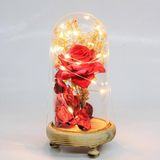 Fanus Gül 19/10cm Led Işıklı Cam Fanuslu Hediyelik