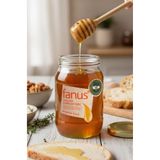 Fanus Organik Karışım Bal 460g