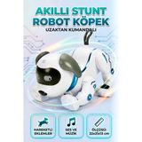 Farbu Oyuncak 7 Farklı Sesli Komutu Anlayabilen Proglamlanabilir Uzaktan Kumandalı Etkileşimli Oyuncak Robot Köpek - Renkli