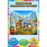 Farbu Oyuncak Sonic 100 Parça Puzzle Eğitici ve Eğlenceli Zihinsel Gelişim Destekleyen Puzzle - Çok Renkli
