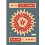 FARE DÖRTLEMESİ (YEŞİL KAPAK)