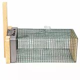Fare Kapanı Orta Boy Dışı Telli 12 X 25 X 11 Cm