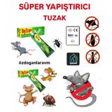 Fare Ve Böcekler Haşere Zehirsiz Yapışkan Tuzak