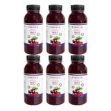 FARİSYA Pancar Kvass Fermente Kırmızı Pancar 250ml (6 adet)