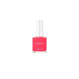 Farmasi 106 Watermelon Splat Oje