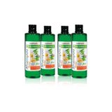 Farmasi 4x500 ml Botanics Herbal Mix Shampoo