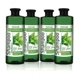 Farmasi Botanics 4x500 ml Isırgan Özlü Şampuan