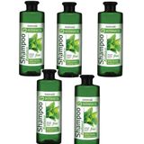 Farmasi Botanics 5x500 ml Isırgan Özlü Parlaklık Veren Şampuan