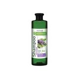 Farmasi Botanıcs Şampuan