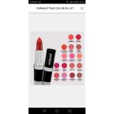 Farmasi E Vitaminli True Color Lipstick