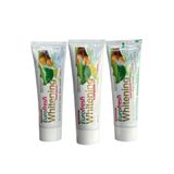 Farmasi Eurofresh Aloe Veralı Misvaklı Beyazlatıcı 3x112 gr Diş Macunu