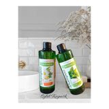 Farmasi Farması Botanıcs Herbal Mıx + Isırganlı Şampuan 500 Ml X 2 Adet
