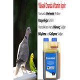 Farmatom Kanatli Hayvan Vitamini 1 Litre - Kuslar Icin Vitamin
