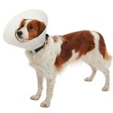 Farmena Kedi ve Köpek yakalığı Click Collar