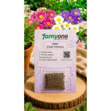 farmyone Aster Çiçek Tohumu 50 Adet