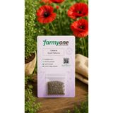 farmyone Gelincik Çiçek Tohumu – 50 Adet