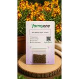 farmyone Sarı Şebboy Çiçek Tohumu – 100 Adet