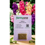 farmyone Şebboy Çiçek Tohumu 100 Adet