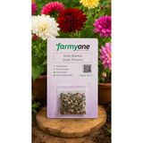 farmyone Yıldız (Dahlia) Çiçek Tohumu 50 Adet