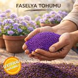 Faselya Otu Tohumu (Arı Otu Tohumu) - 5 kg
