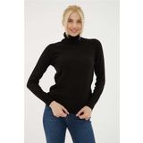 Fashion Friends Kadın Balıkçı Yaka Kazak 23K0401K1 Siyah XS